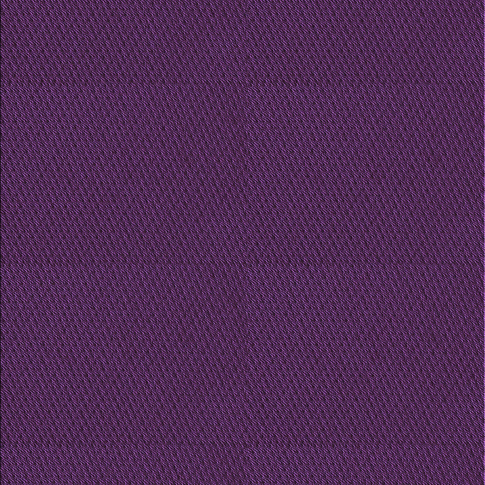 Machine Washable Transitional Dark Orchid Purple Rug, wshpat3041pur