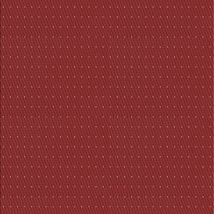 Machine Washable Transitional Red Rug, wshpat3042rd