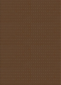 Machine Washable Transitional Sienna Brown Rug, wshpat3042