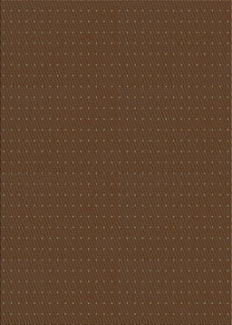 Machine Washable Transitional Sienna Brown Rug, wshpat3042