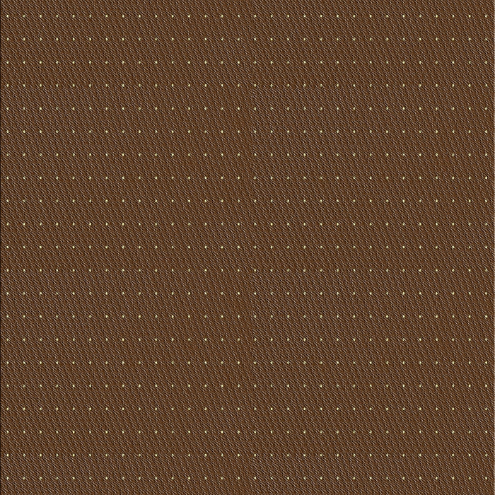 Machine Washable Transitional Sienna Brown Rug, wshpat3042