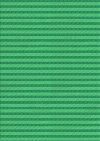 Machine Washable Transitional Neon Green Rug, wshpat3043grn