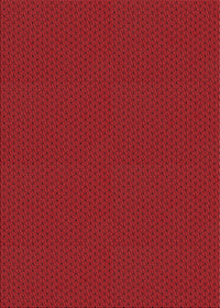 Machine Washable Transitional Tomato Red Rug, wshpat3047rd