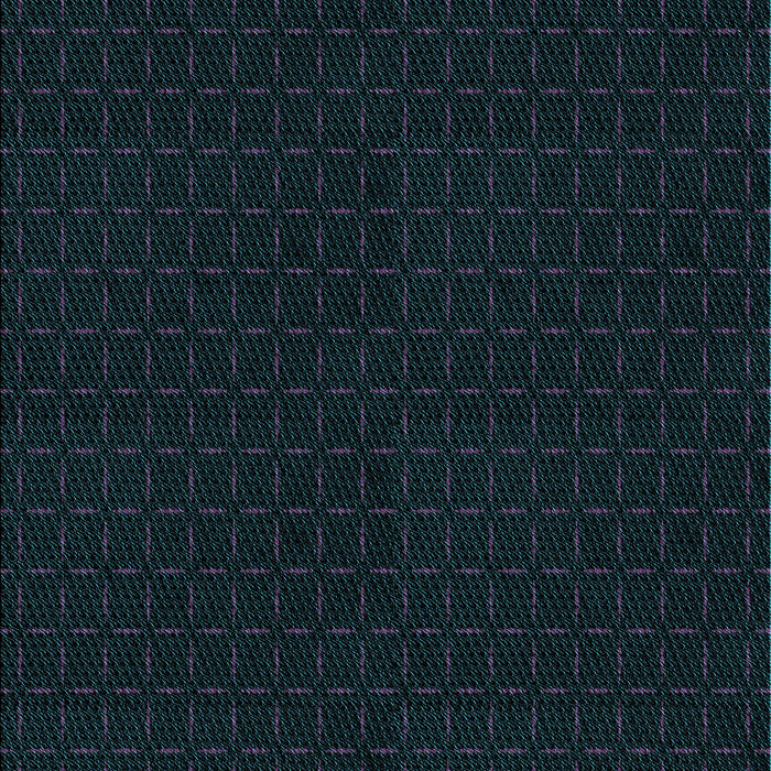 Machine Washable Transitional Black Rug, wshpat3048lblu