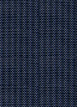 Patterned Blue Novelty Rug, pat3052