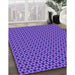 Machine Washable Transitional Purple Daffodil Purple Rug in a Family Room, wshpat3053pur