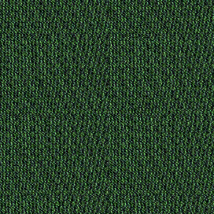 Machine Washable Transitional Dark Forest Green Rug, wshpat3054grn