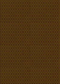 Machine Washable Transitional Dark Bronze Brown Rug, wshpat3054yw