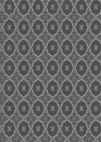 Machine Washable Transitional Gunmetal Gray Rug, wshpat3055gry