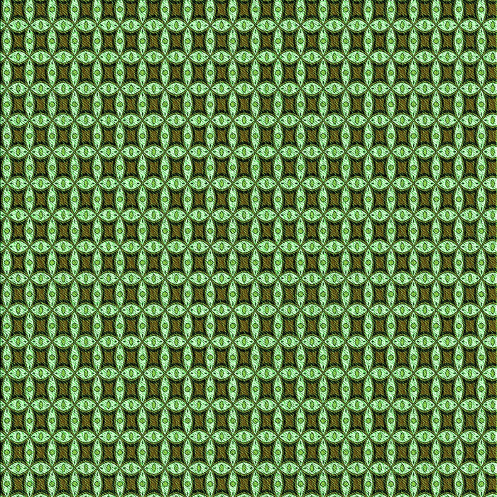 Machine Washable Transitional Green Rug, wshpat3060grn
