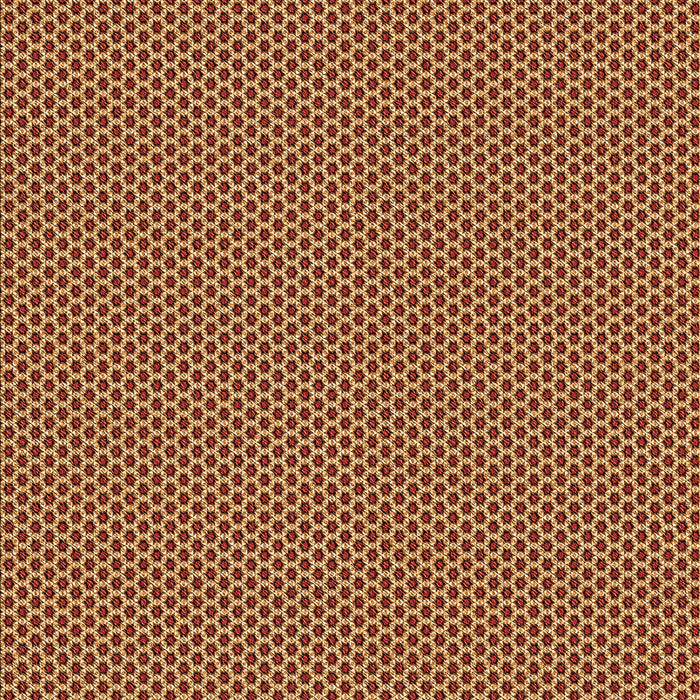 Machine Washable Transitional Orange Rug, wshpat3061org