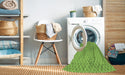 Machine Washable Transitional Green Rug in a Washing Machine, wshpat3063grn