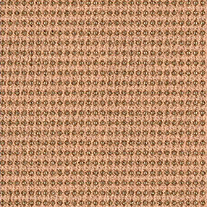 Machine Washable Transitional Brown Sand Brown Rug, wshpat3065brn