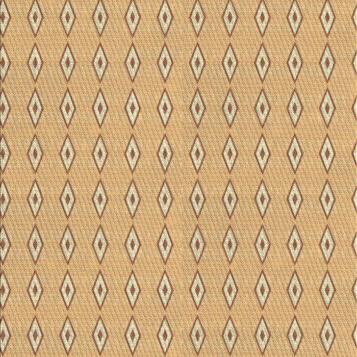 Machine Washable Transitional Orange Rug, wshpat3069brn