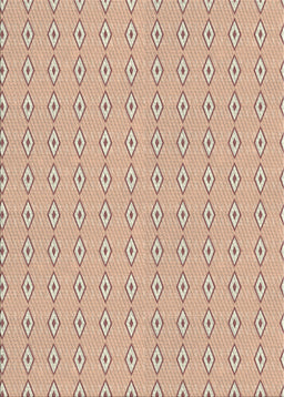 Patterned Rust Pink Novelty Rug, pat3069