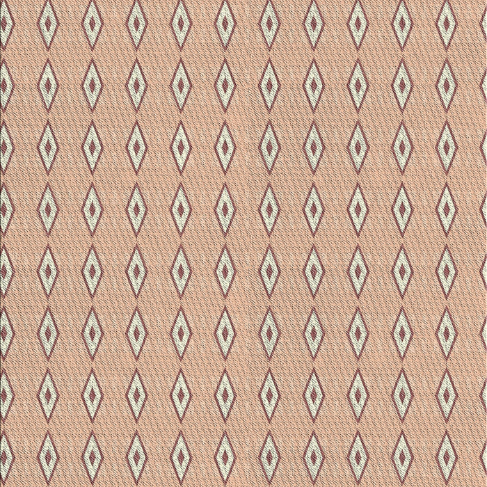 Patterned Rust Pink Novelty Rug, pat3069