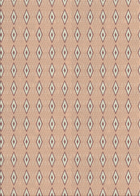 Machine Washable Transitional Rust Pink Rug, wshpat3069