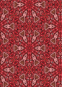 Machine Washable Transitional Tomato Red Rug, wshpat3073rd