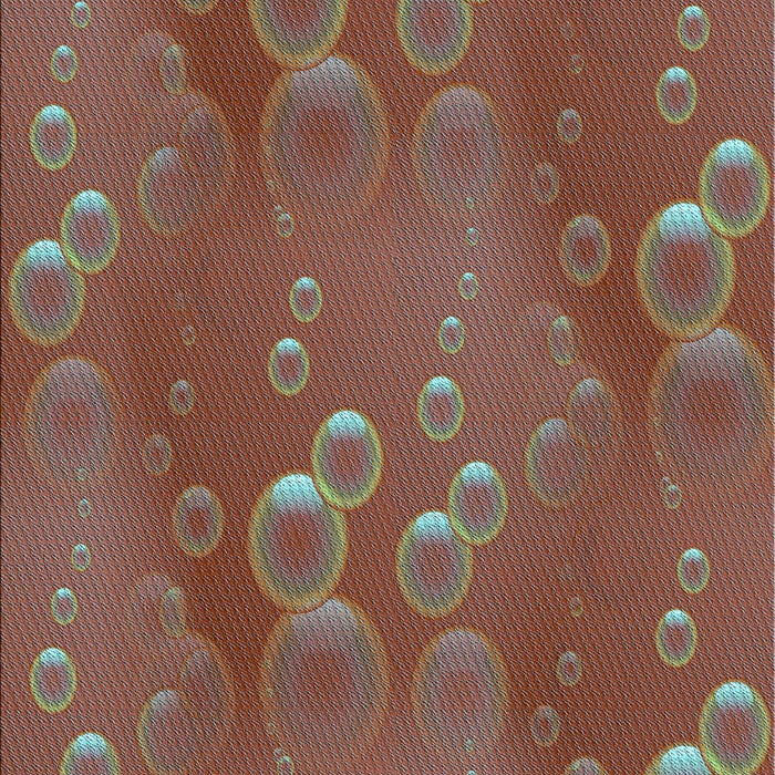 Machine Washable Transitional Dark Almond Brown Rug, wshpat3085lblu