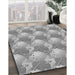 Machine Washable Transitional Platinum Gray Rug in a Family Room, wshpat3094gry