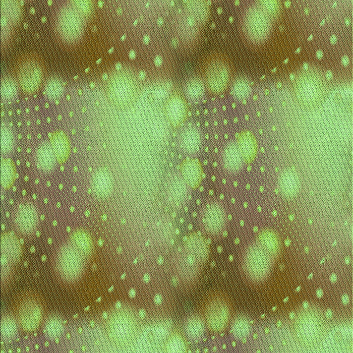 Machine Washable Transitional Green Rug, wshpat3097grn