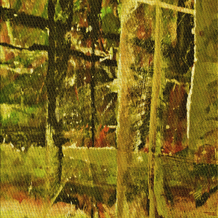 Machine Washable Transitional Orange Gold Rug, wshpat31yw