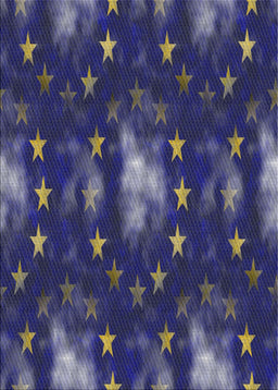 Patterned Denim Dark Blue Novelty Rug, pat3100