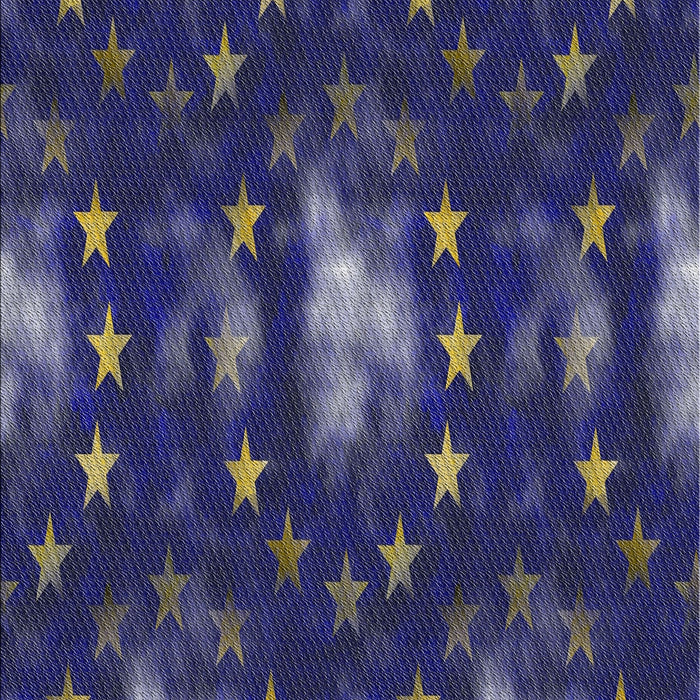 Patterned Denim Dark Blue Novelty Rug, pat3100