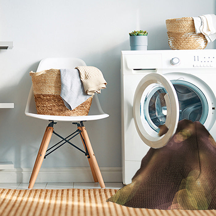 Machine Washable Transitional Light Brown Rug in a Washing Machine, wshpat3101brn