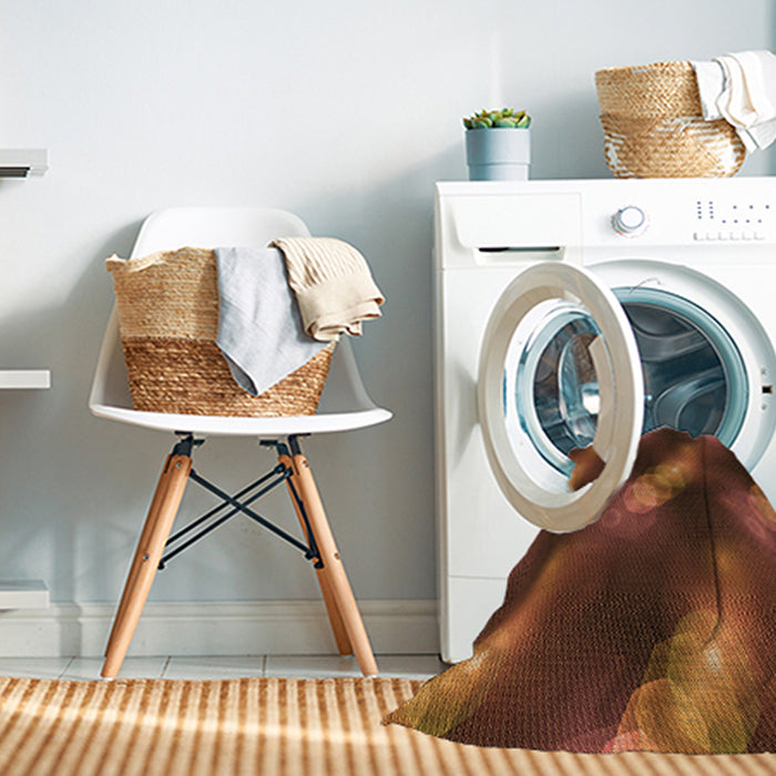 Machine Washable Transitional Red Rug in a Washing Machine, wshpat3101org