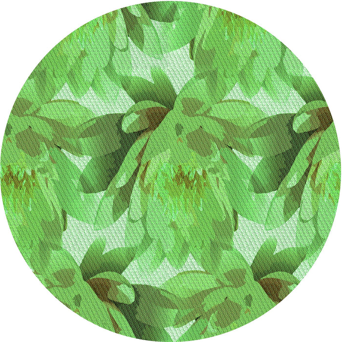 Square Machine Washable Transitional Emerald Green Rug in a Living Room, wshpat3103grn