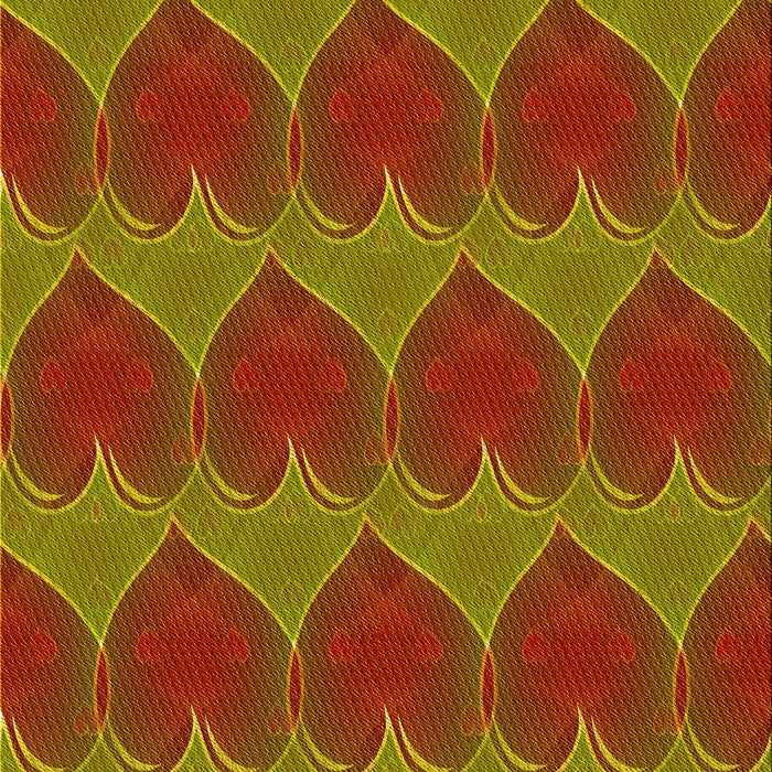 Machine Washable Transitional Red Rug, wshpat3106yw