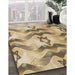 Machine Washable Transitional Brown Rug in a Family Room, wshpat3115brn