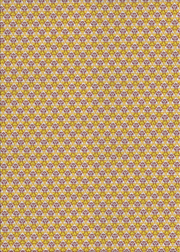 Machine Washable Transitional Red Rug, wshpat311