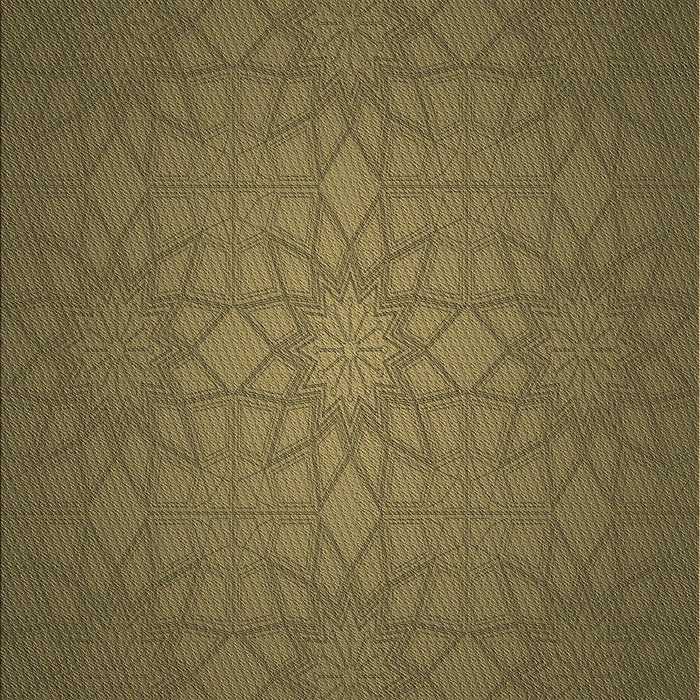 Machine Washable Transitional Dark Golden Brown Rug, wshpat312brn