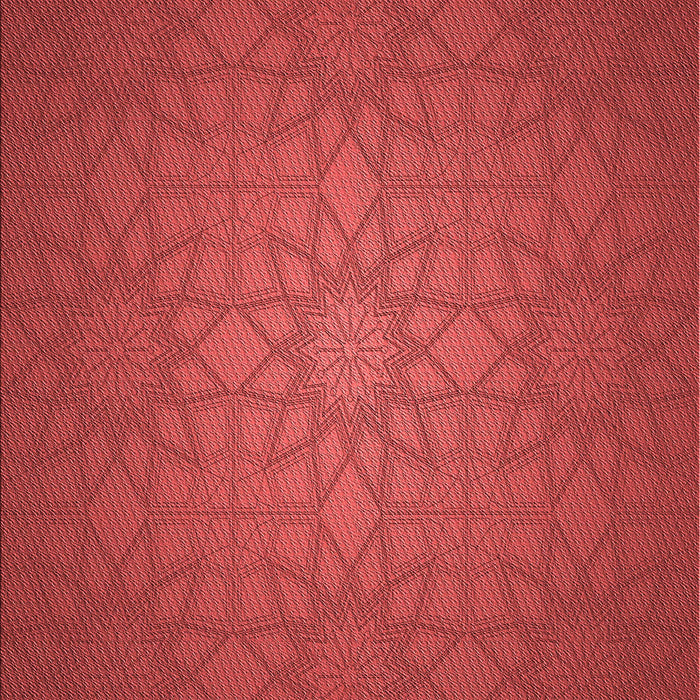 Patterned Red Rug, pat312rd