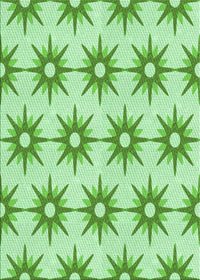 Machine Washable Transitional Light Green Rug, wshpat3123grn