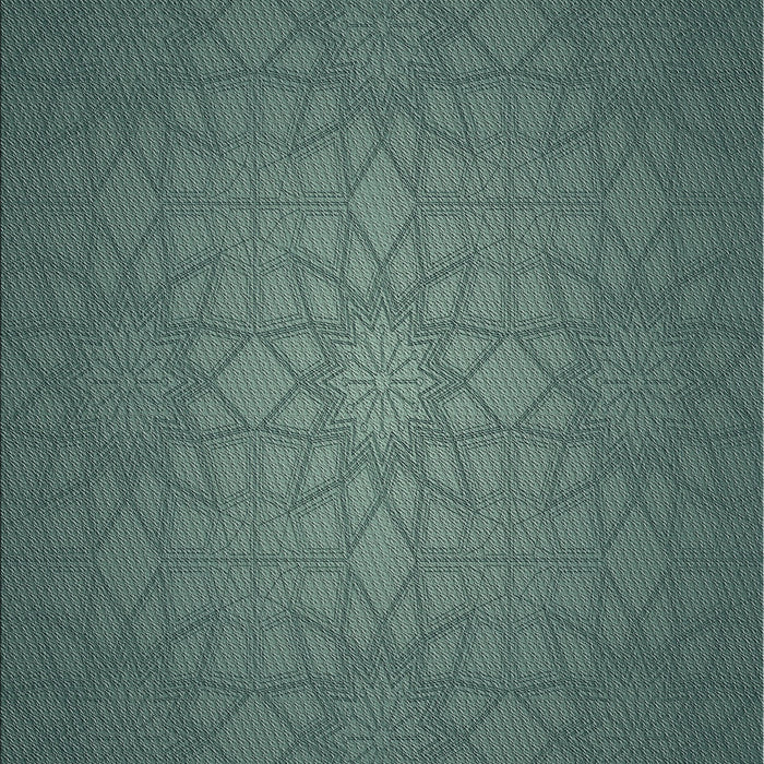 Patterned Dark Slate Gray Green Novelty Rug, pat312