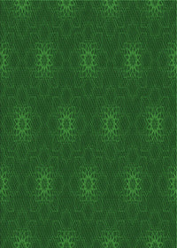 Machine Washable Transitional Green Rug, wshpat313grn