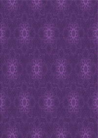 Machine Washable Transitional Dark Orchid Purple Rug, wshpat313pur