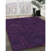 Machine Washable Transitional Deep Purple Rug in a Family Room, wshpat3131pur