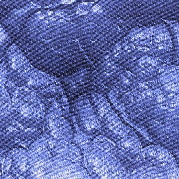 Patterned Sky Blue Rug, pat3134blu