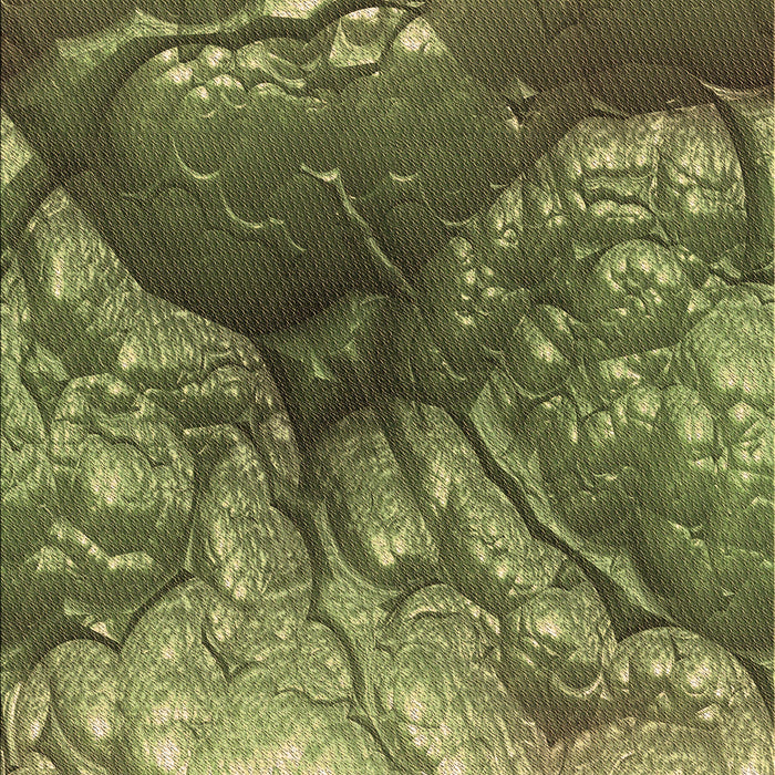 Patterned Green Rug, pat3134brn