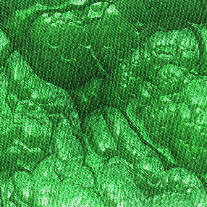 Patterned Green Rug, pat3134grn