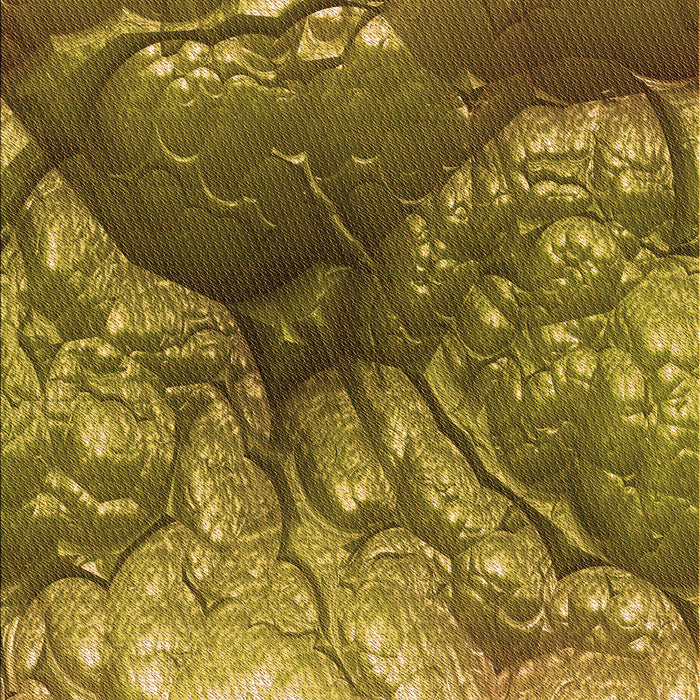 Patterned Dark Bronze Brown Rug, pat3134org