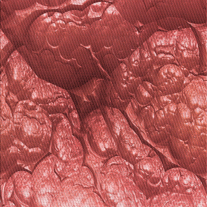 Patterned Red Rug, pat3134rd