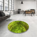 Round Patterned Pistachio Green Rug in a Office, pat3134yw