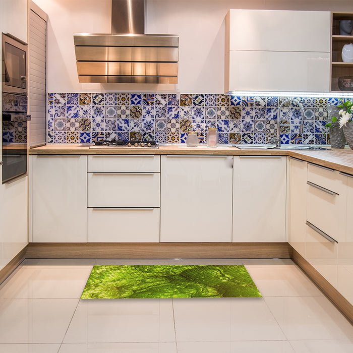 Patterned Pistachio Green Rug in a Kitchen, pat3134yw