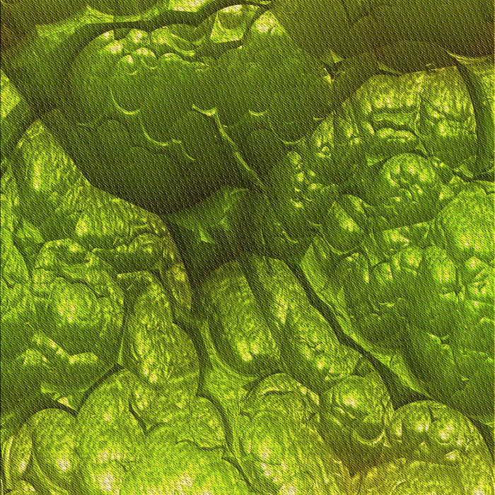 Patterned Pistachio Green Rug, pat3134yw