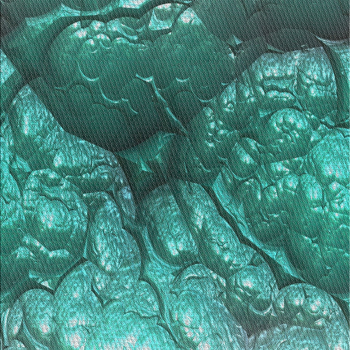 Machine Washable Transitional Turquoise Green Rug, wshpat3134